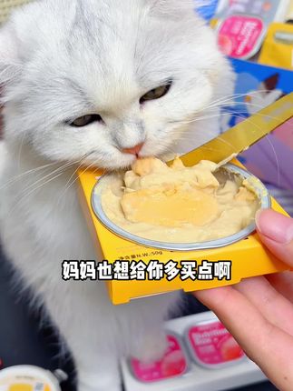 布兰德也有猫咪礼包了!猫粮罐头猫条都有了~#布兰德 #主食罐 #布兰德猫粮 #布兰德主食餐盒 #吃货猫