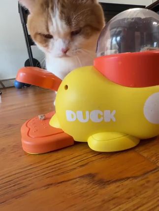猫狗自嗨漏食神器#萌宠玩具 #自动投喂器#猫狗喂食器