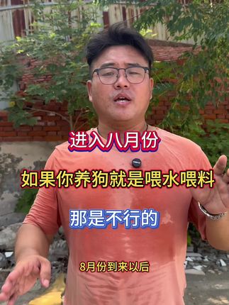 进入八月份,如果你养狗就是喂水喂料,那是不行的#养狗 #土狗 #养狗经验分享 #农村养狗