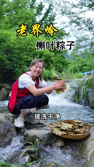 端午安康!河南传统工艺,地方特色美食槲叶粽子#槲叶粽子 #家乡的味道 #儿时记忆 #新农人计划2026
