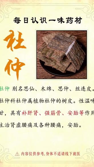 每日认识一味药材:杜仲 #杜仲 #每日认识一味中药材 #传播健康弘扬中医文化 #中草药科普