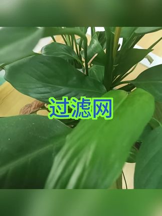 #过滤网 #过滤网厨房水槽推荐 #过滤网袋