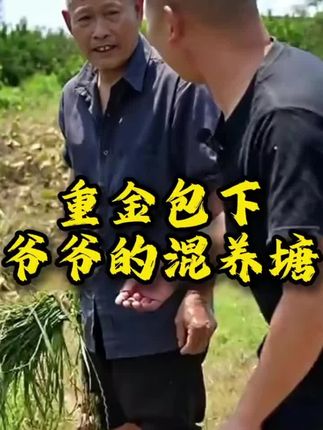 #小飞哥 #捕鱼 #透骨膏 #户外 #三农