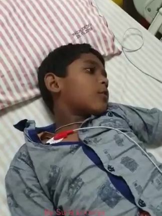 户外探险大肥猫