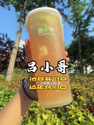 哇哇哇!吕小哥又上新品了!预售太合适了!#吕小哥凤凰单丛 #吕小哥手打柠檬茶 #高香原叶手打现制 #吕小哥新品