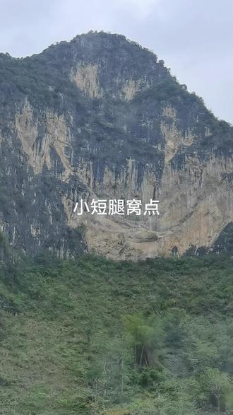 九菊一派真能飞岩走壁,赶紧跑