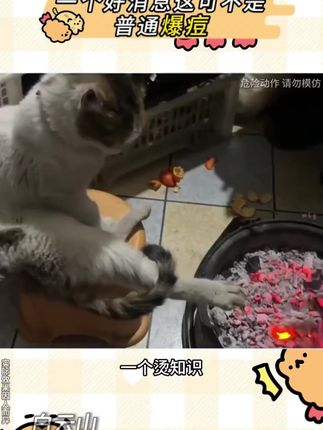 脸上黑头痘痘多?爱出油?毛孔粗大?影响颜值!白云山泥膜棒好用又便宜!#护肤 #洁面 #毛孔粗大 #白云山壬二酸泥膜棒