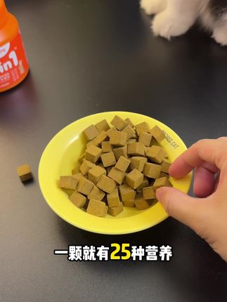 养好猫其实很简单,一瓶多维软颗粒就能省去一堆瓶瓶罐罐,补齐猫咪所需#养猫新手 #养猫人 #新手养猫 #猫咪营养品 #养猫经验分享
