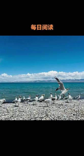每日阅读 春风得意马蹄疾,一日看尽长安花#国风是刻在骨子里的浪漫 #阅读#马年吉祥