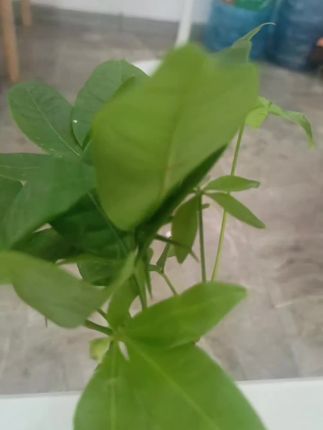 #每日分享 #好东西一起分享 #教你一招 #上热搜 #打开美好生活