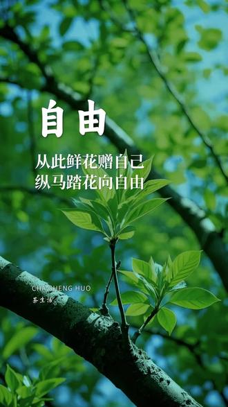1. 悠然自得,茶韵生活
悠然间,一杯清茶在手,静享一世安宁的美好时光。
茶香袅袅中静坐,品味岁月流转的温柔与深情厚意。
2. 茶香四溢,品味人生
清茶一壶是心灵的港湾,沉淀思绪,感受生活的曼妙多姿。
人生如茶般丰富多彩,经历风雨方知平淡是真滋味无穷尽也。
3. 茶中寻静,享受悠闲
秋风送爽,正是品茗好时节。轻轻捻起一缕茶香,静享这半盏悠闲时光。
在生活的春秋画卷中,淡取一份宁静与淡泊,就像那一盏茶,在烟火清风中飘香。
4. 茶意人生,回归本真
茶香中的那份宁静与纯粹,让人感受到了前所未有的满足与幸福。这种满足感,超越了金钱与名利的诱惑。
一壶香茶,一本好书,一段静谧的时光,便是我心中最理想的生活状态。
5. 茶香悠远,岁月静好
世间纷扰皆过客,此刻唯有茶香最悠长,岁月静好,心亦安然。
偷得浮生半日闲,捧一杯热茶,让思绪随着茶香袅袅升腾,心情也变得明媚起来。
这些文案展现了茶在生活中所带来的宁静、悠闲与满足,希望能为您的茶生活增添一份诗意与雅致。