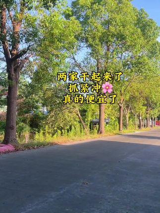 #纪录美好生活 #夏天的味道 #乡间小路美景 #我的乡村生活 #实拍