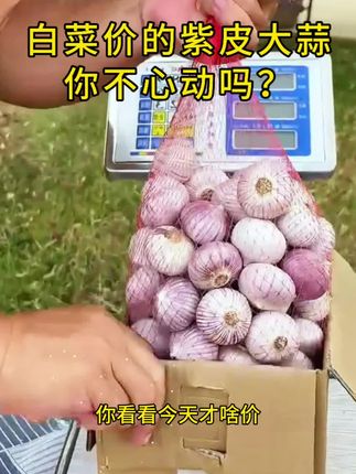 #紫皮大蒜#特别推荐 #助农#值得推荐
