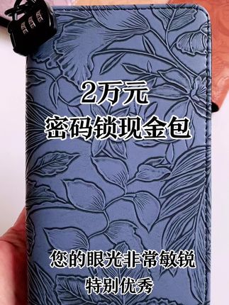 大容量密码锁现金包,非常有品位 #密码锁大容量存钱册 喜欢的朋友可以入手了#好物推荐🔥
