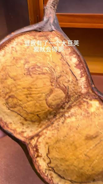 豆荚也能玩出新花样
#榼藤豆荚 #挂件 #手工制作