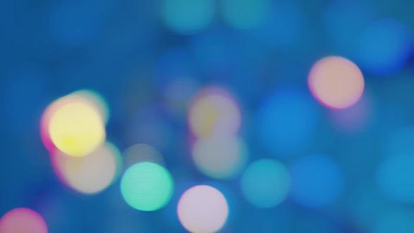 泉城公园的腊梅花开了#我的摄影日记