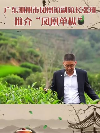 #我为家乡农产品代言 #凤凰单丛茶 #乌龙茶 #鸭屎香 #功夫茶