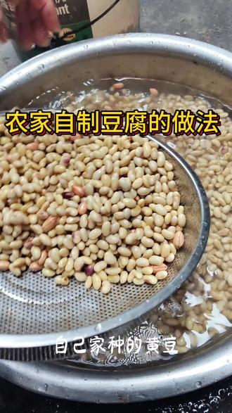 自家黄豆磨豆腐,满满都是烟火气#新农人计划#乡村美食#手工豆腐#农家特产#我的乡村生活