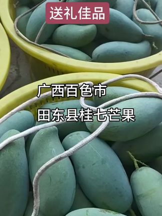 广西百色市田东县桂七芒果 #优质农产品 #芒果 #口感特别好 #好吃到停不下来 #快来一起尝个鲜