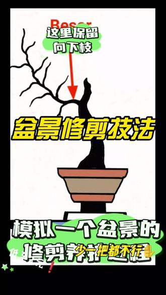盆景修剪技法#盆景 #盆景艺术 #盆景修剪 #盆景修剪造型 #盆景制作