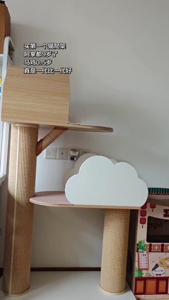 猫爬架分享|所有玩具阿拿都有优先体验权,因为它玩得最少
