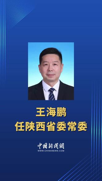 中央批准:王海鹏任陕西省委常委