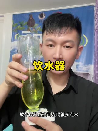 鸟用饮水器八哥鹦鹉饮水器 鹦鹉可以装水装粮2用
