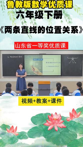 22鲁教版数学六下《两条直线的位置关系》季老师优质课