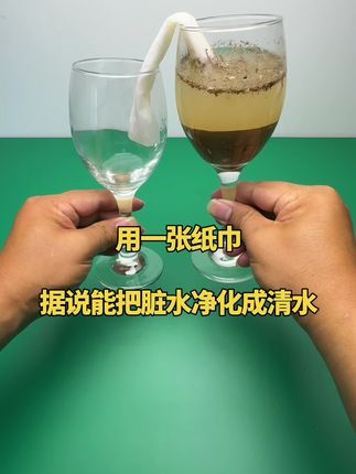 用一张纸巾,据说能把脏水净化成清水