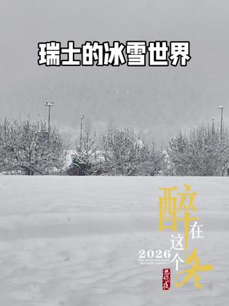 我们在瑞士scuol 过马年,孩子们去滑雪,老人们去玩雪,享受这冰雪世界的快乐。