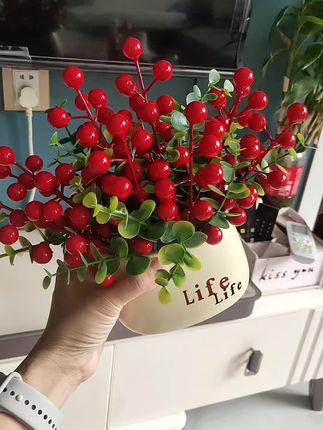 #仿真红果摆件 仿真红果饱满莹润,色泽逼真;耐腐防潮,久放如新;百搭场景,添彩生趣。#家居摆件装饰品 #提升幸福感好物 #dou+上热门