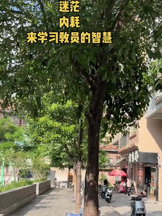 #好书分享 #智慧人生