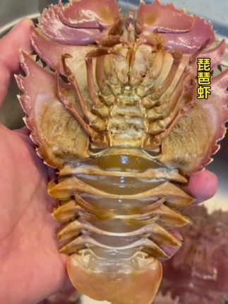 #琵琶虾 来自深海的琵琶虾,个头大,肉质饱满紧实,一口下去非常满足,无论是自己吃还是送朋友都很合适。#海鲜 #美食推荐 #舌尖上的美味佳肴 #快来一起尝个鲜 @DOU+小助手