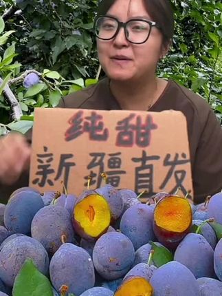 新鲜水果新疆法兰西小西梅产地直发