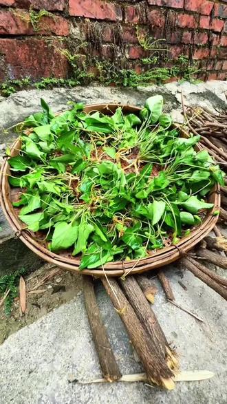 地丁草煮茶水 #茶 #茶生活 #潮汕人 #喝茶