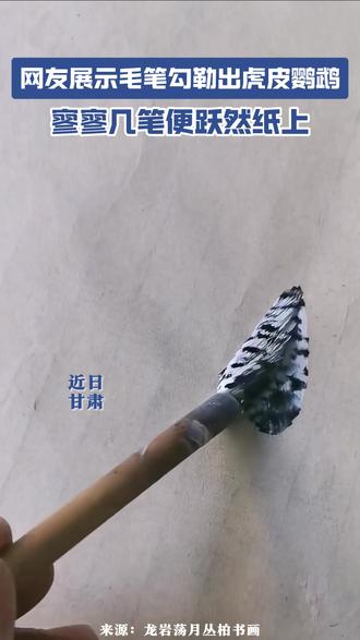 网友展示毛笔勾勒出虎皮鹦鹉 寥寥几笔便跃然纸上