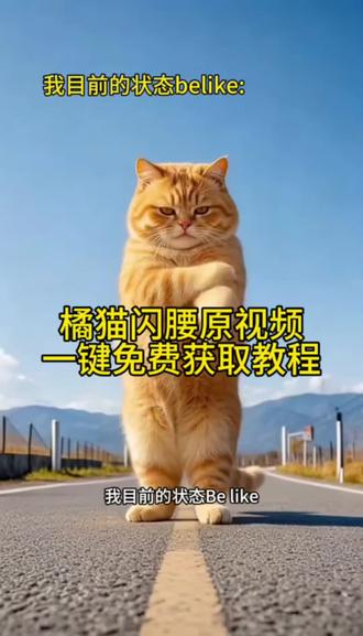 我目前的状态 橘猫闪到腰原视频#剪映#橘猫跳舞搞笑视频#目前的状态脆皮#胖猫跳舞搞笑视频 小猫跳舞扭到腰搞笑视频怎么拍#猫爷扭腰
目前状态搞笑视频有趣的猫咪表情包