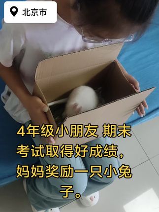 同城推流#北京宠物兔#兔子 #兔 同城推荐好店#附近哪里有卖兔子的?