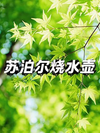 #苏泊尔烧水壶 #烧水壶 #烧水壶推荐家用