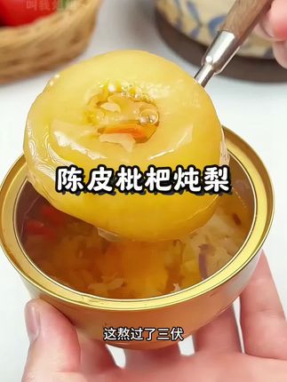 极盏陈皮枇杷炖梨 2017年新会陈皮熬煮梨汤秋冬清润食物252g#强烈推荐 #枇杷炖梨 #陈皮炖梨 #陈皮枇杷 #美食治愈一切不开心 @DOU+小助手 @DOU+上热门