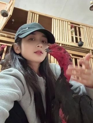 哈哈哈哈好玩#斗鸡爱好者