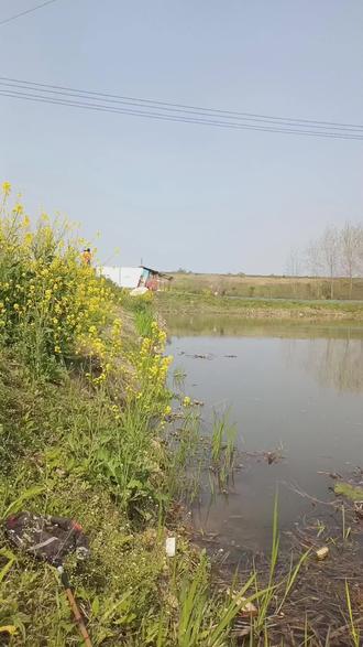 #分享我的钓鱼经验 视频左下角或抖音搜“#钓点王 小程序”输口令 575120 查钓点