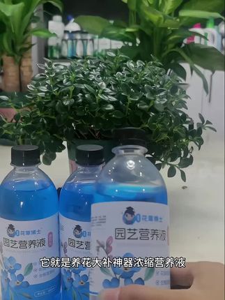 这款花草博士家的通用型营养液富含植物生长所需的氮磷钾以及各种中微量元素,壮根壮苗。你也用起来吧!#好物推荐🔥 #种植小技巧 #分享家庭养花知识 #爱生活爱养花 #花草博士营养液