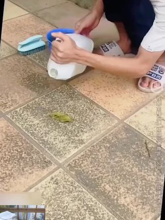 家里有各种顽固污渍的,快备上这个#草酸清洗剂,不管是玻璃水垢还是边角缝隙都能用#浴室清洁#厕所清洁 同款