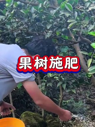 明年花多果多,提升产量#颗粒硼#颗粒硼肥#果树管理#果树种植#果树种植管理