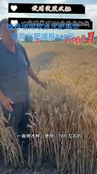 牧原水肥就是好,化肥减投少不了!#牧原沼液水肥惠农服务