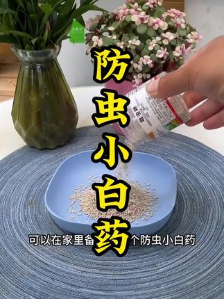 只要你养花,家里一定要备上一瓶这个#防虫颗粒小白药 每个花盆撒上一些,轻松解决各种虫害问题#养护小知识 #病虫害防治 #花卉绿植