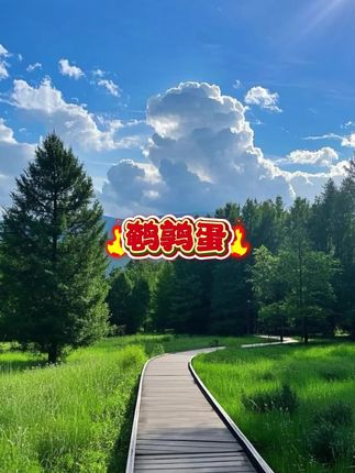 鹌鹑蛋卤蛋五香盐焗香辣味泡面搭档健康卤味零食休闲食品独粒包装#鹌鹑蛋解馋零食 #盐焗鹌鹑蛋独立包装 #盐焗鹌鹑蛋零食 #零食卤蛋 #盐焗鹌鹑蛋开袋即食