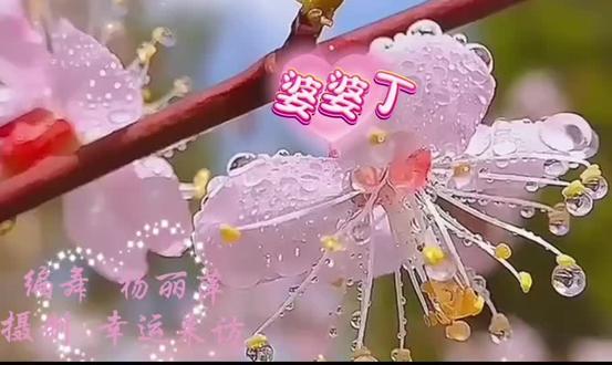 下午好呀友友们~无聊就来跳个《婆婆丁》广场舞吧💃 跳得一般但超开心😆 快乐最重要啦✨ 祝天下所有妈妈母亲节快乐哟🌷
#广场舞 #婆婆丁 #母亲节快乐 #开心每一天 #舞蹈日常