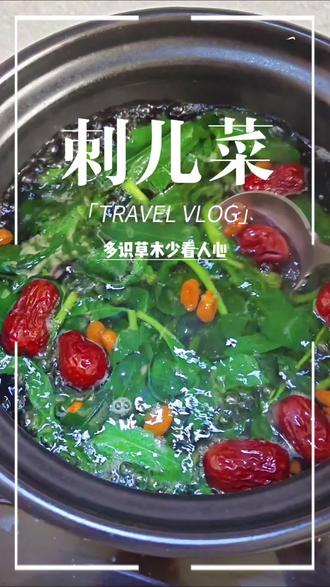 千万不要错过这个全身带刺儿的植物,我们都叫它刺菜学名小蓟,浑身是宝#食疗小妙招 #涨知识 #美食 #健康养生 #刺儿菜 @抖音作者助手 @抖音创作灵感 @抖音生活服务